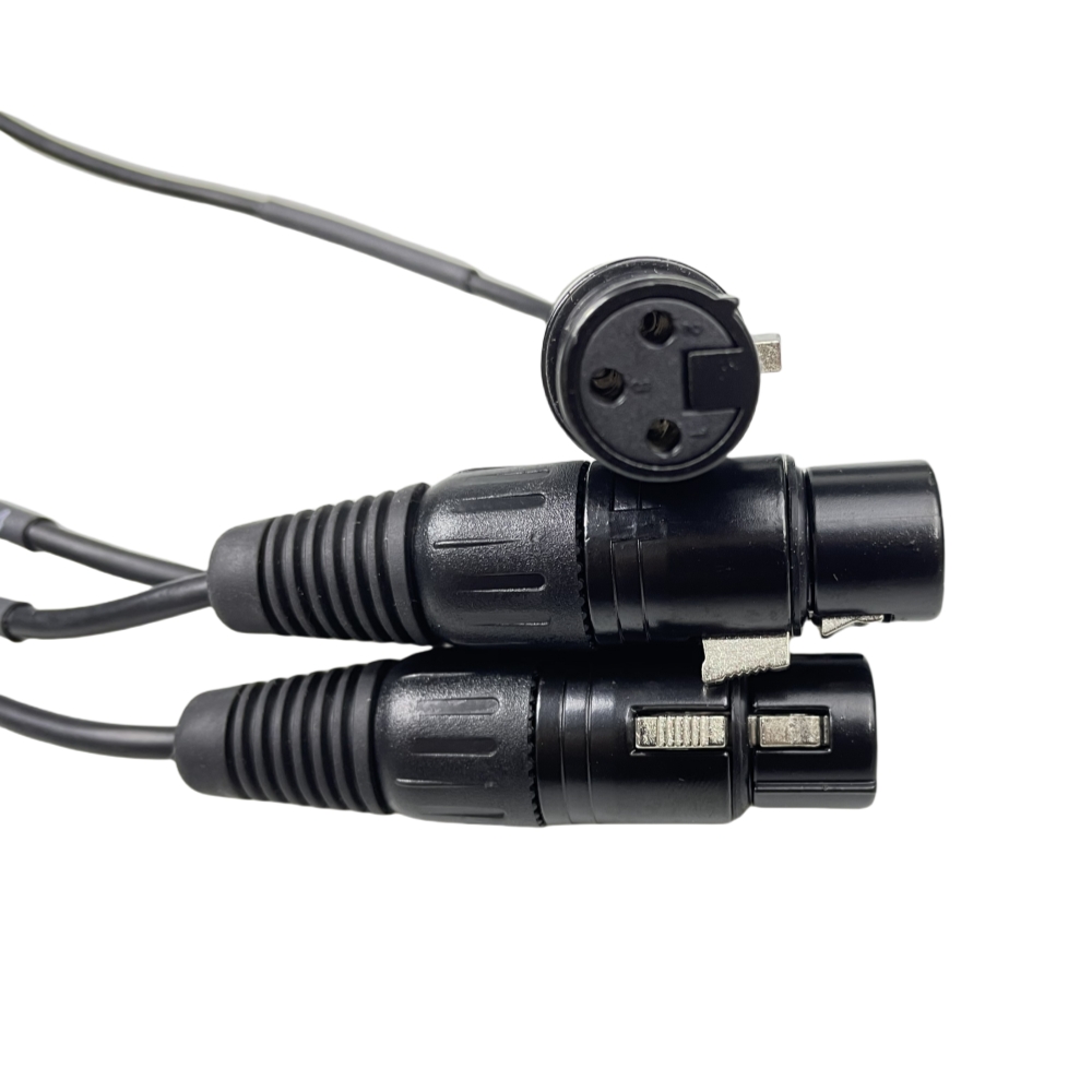 DB 25P to RCA and Cannon