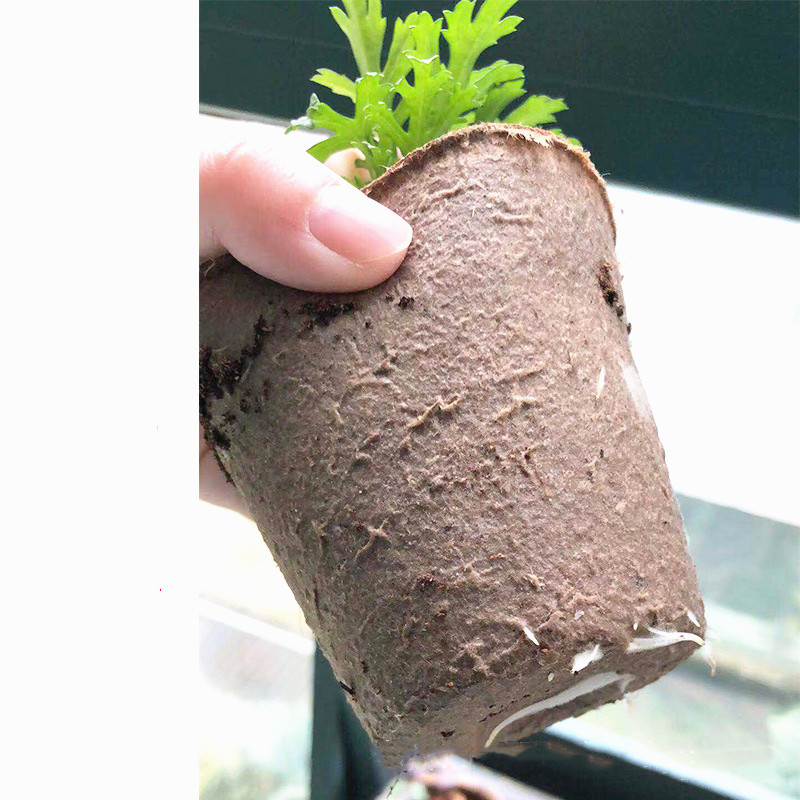 Paper Pot Plant Seedling Bag Trays Vegetable Seed Planting Flower Eco-Friendly Biodegradable Nursery Cup for Garden Absorb Water