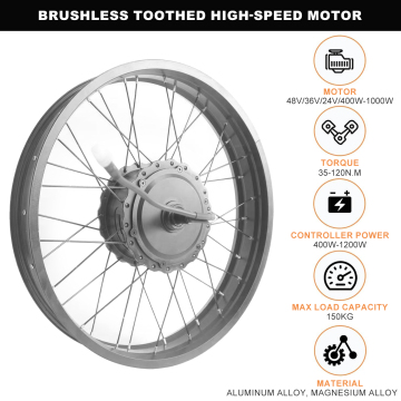 Electric Bike Snow Conversion Kit,48V/1000W