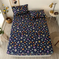 Single/Queen/King Size Feather Pattern Mattress Cover With bed Sheets with pillowcases for Double Bed 3 pcs Fitted Bedding Sheet
