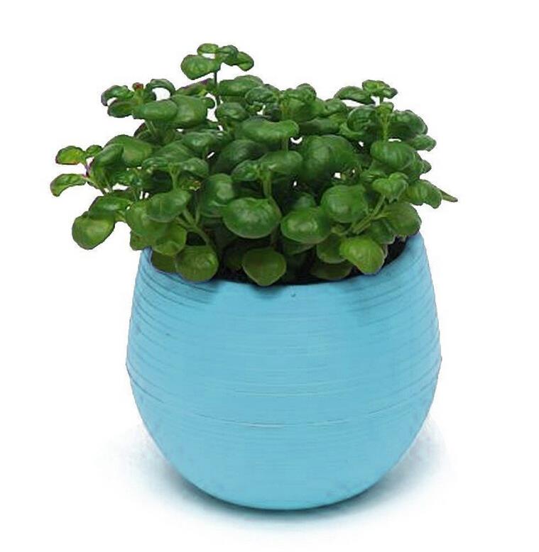 Hot sale New Plastic Flower Pot Succulent Plant Flowerpot For Home Office Decoration 5 Color Garden Flower Floral Pots Supplies