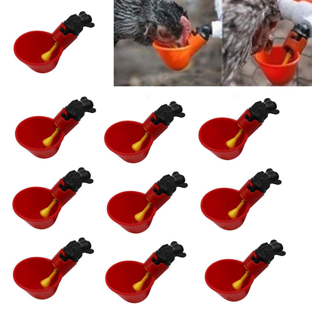 10 Pcs Feed Automatic Bird Coop Poultry Chicken Fowl Drinker Water Drinking Cup For Chicken Feeder Cook Bowl Dropshipping#D