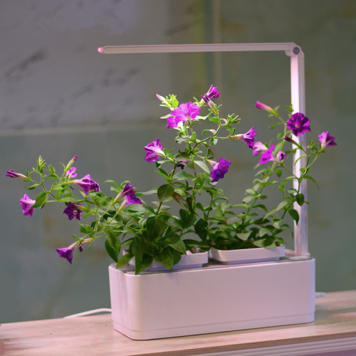 Smart Led Light Hydroponic Systems indoor Flower Pot Manufacturers and Smart Led Light Hydroponic Systems indoor Flower Pot Suppliers