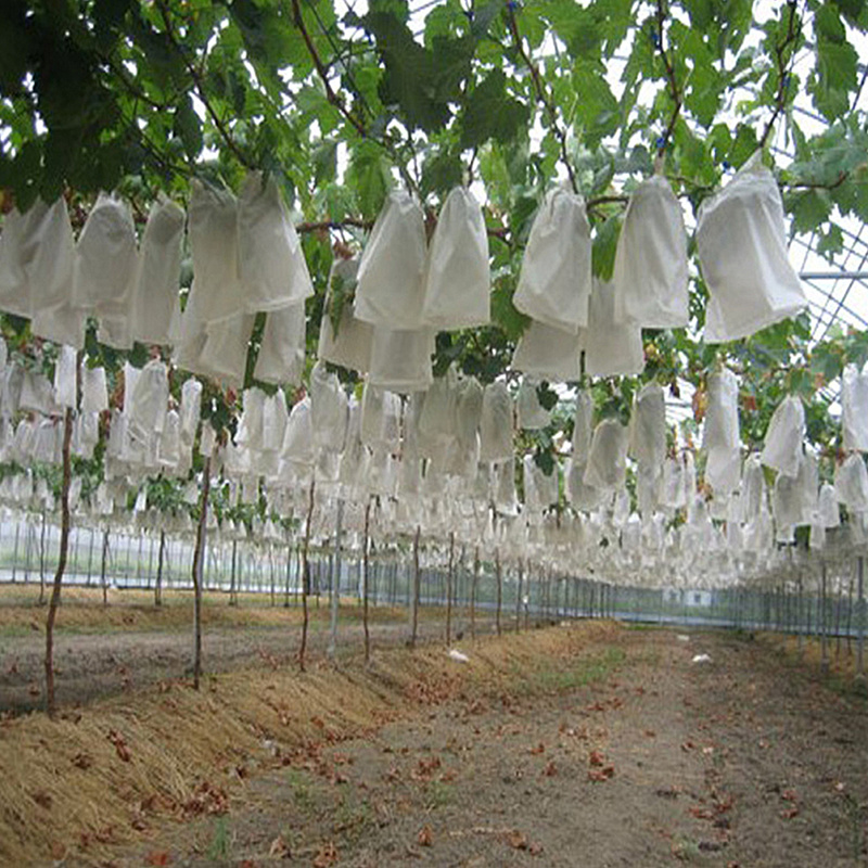 100Pcs Fruit Grape Protect Bags Anti-Bird Insect Moisture Net Bag Breeding Bag Pest Control Tools Mosquito Net Plant Covers