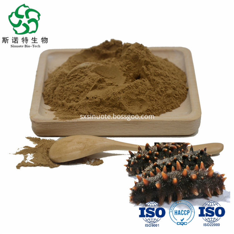 Sea Cucumber Extract