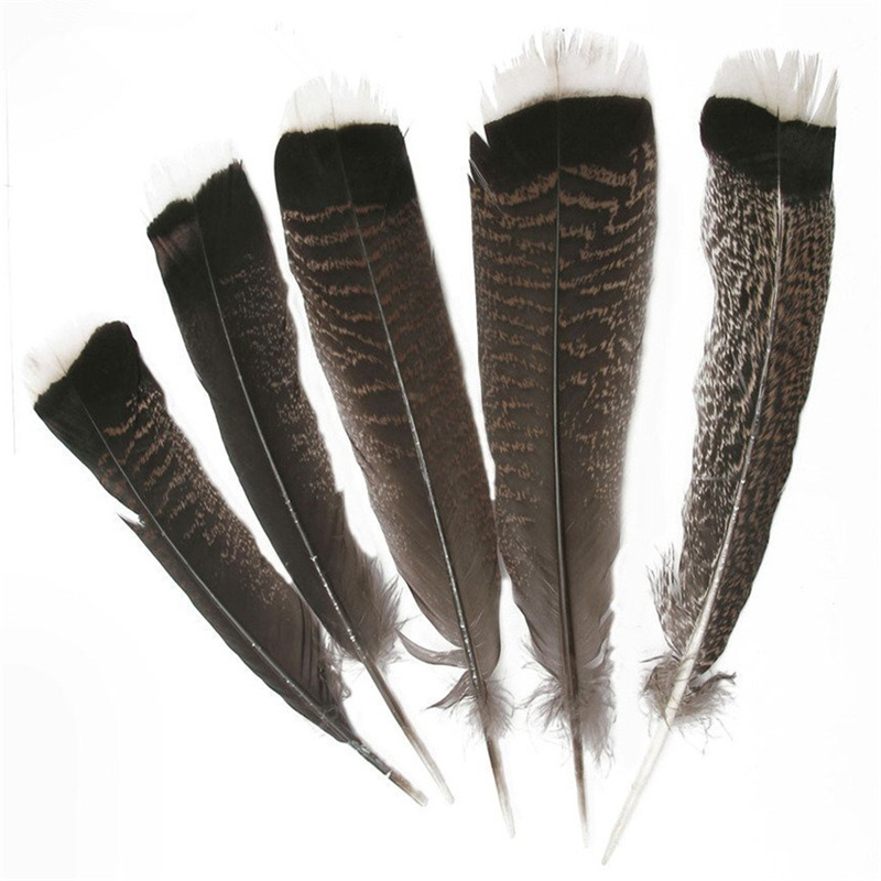 10 Pcs high quality natural Eagle bird feathers 25-30cm/10-12inch Selected Prime Quality Eagle feathers diy jewelry decoration