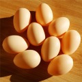 100 pcs Small Fake Eggs 5*3.4cm Farm Animal Supplies Cages Accessories Guide Chicken nest Egg Kids Toys Painting Material