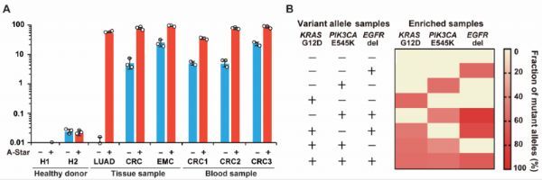 PCR