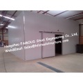 EPS/PU Sandwich Panels Walk in Freezer Panel for Cold Storage And to Keep Fruit Fresh from China Supplier