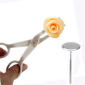 2Pcs Piping Flower Scissors Nail Safety Rose Decor Lifter Fondant Cake Decorating Tray Cream Transfer Baking Pastry Tools