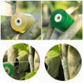 2/2.5/3CM x 100M / 1 Roll Grafting Tape Garden Tools Fruit Tree Secateurs Engraft Branch Gardening bind belt PVC Tie Tape