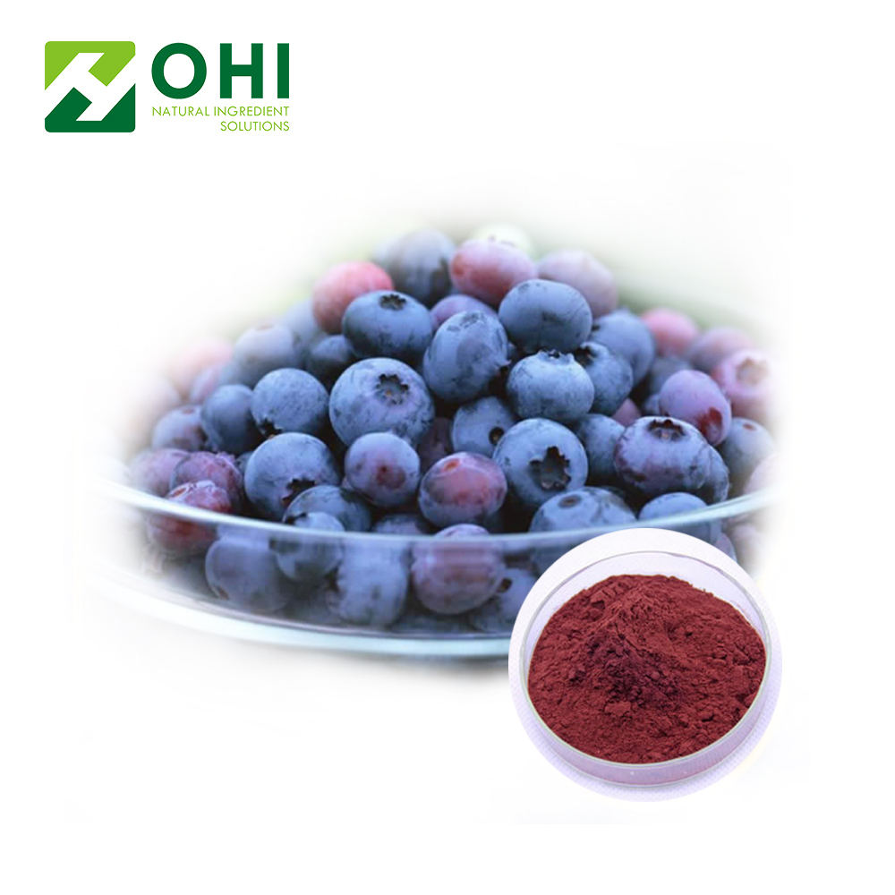 Freeze Dried Bilberry Fruit Juice Powder
