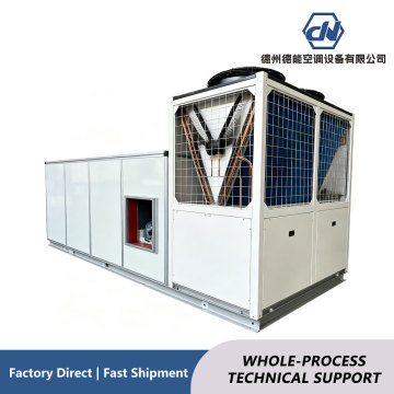 DX Constant-Temperature & Humidity Purification Unit