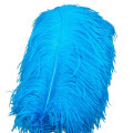 10pcs/lot 15-70CM Lake Blue ostrich feather costume wedding decoration feathers supplies Carnival dancer feathers for crafts
