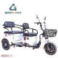 Elderly recreational electric passenger scooter