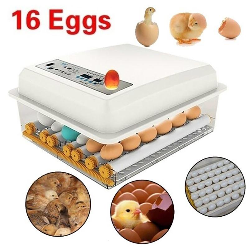 16 Chicken Eggs Incubator Chicken Automatic Eggs Incubator Poultry Hatcher Digital Control Hatchery Machine Bird Quail Brooder