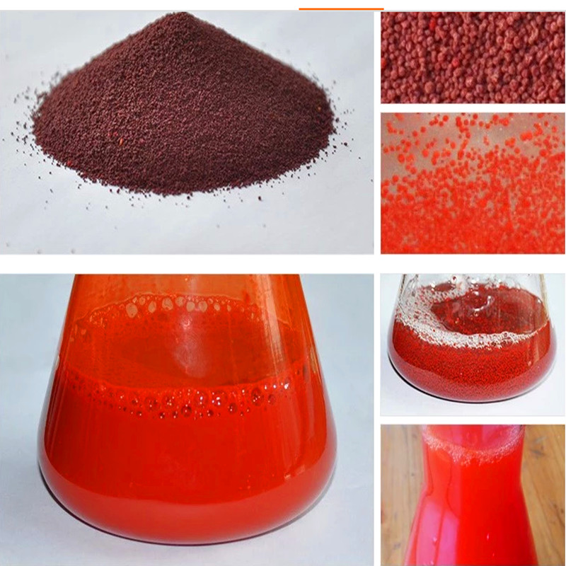 50 gram High quality feed grade astaxanthin for fish food fish feed natural astaxanthin 10% Haematococcus Pluvialis
