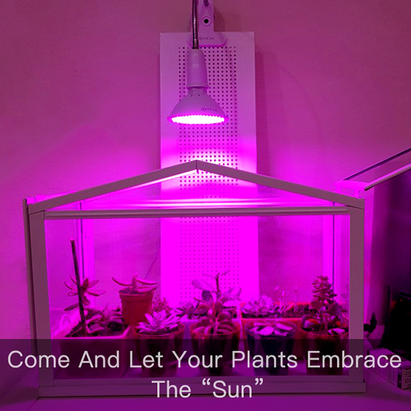 LED Grow light Full Spectrum Fitolamp Hydroponics Phyto lamp Phyto-Lamp For Vegetable Flower Seedlings Plants Lighting