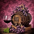 Full Square/round Diamond 5D DIY Diamond Painting Grapes and wine Embroidery Cross Stitch Rhinestone Mosaic Home Decor