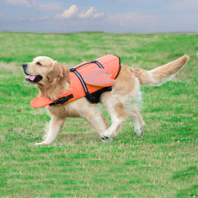 Pet Clothing Brand Names