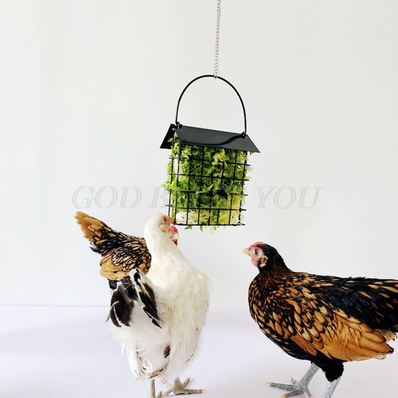 Chicken Feeder Basket Chicks Foraging Toy Metal Hanging Birdfeeders Bird Feeding Device for Small Parakeets Cockatiels