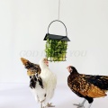 Chicken Feeder Basket Chicks Foraging Toy Metal Hanging Birdfeeders Bird Feeding Device for Small Parakeets Cockatiels