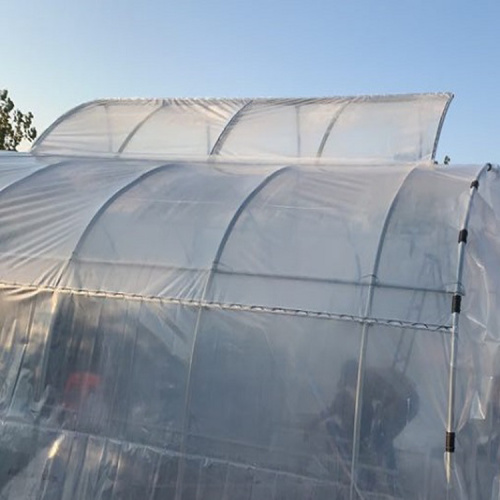 Skyplant Top Ventilation Garden Greenhouse Manufacturers and Skyplant Top Ventilation Garden Greenhouse Suppliers