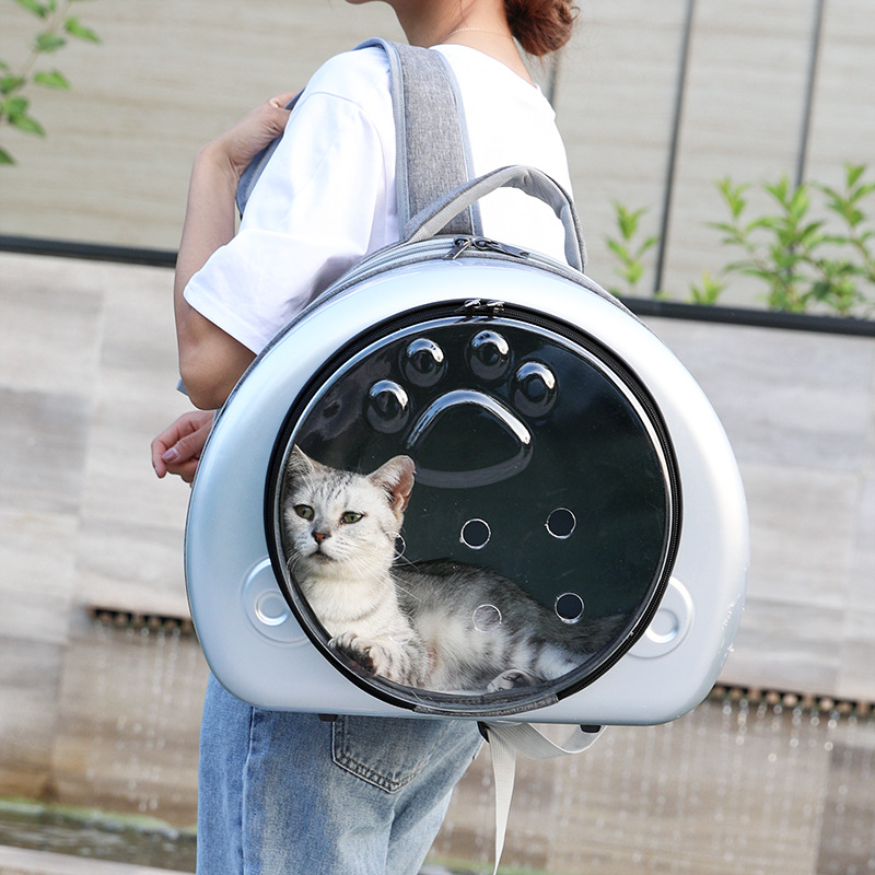 Pet Carrier Price