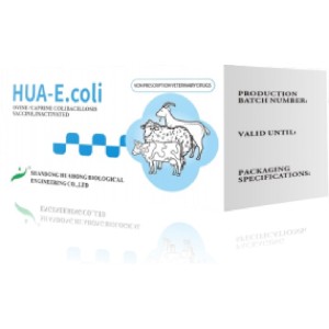 Ovine /Caprine Colibacillosis Vaccine, Inactivated