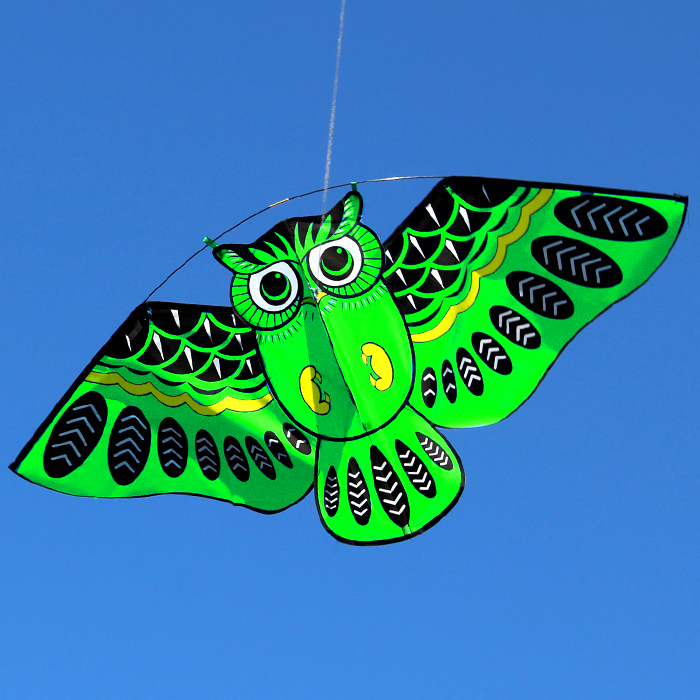New 110*50cm Colorful Owl Kite With Kite Line Easy To Fly Kids Flying kites Outdoor Toys Animal kite Toy For Fun Children Gift