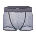 Mesh Underpants Low Rise Man Sexy Underwear 9 Color Sexy Mens Boxers Shorts Transparent Mesh See Through Net