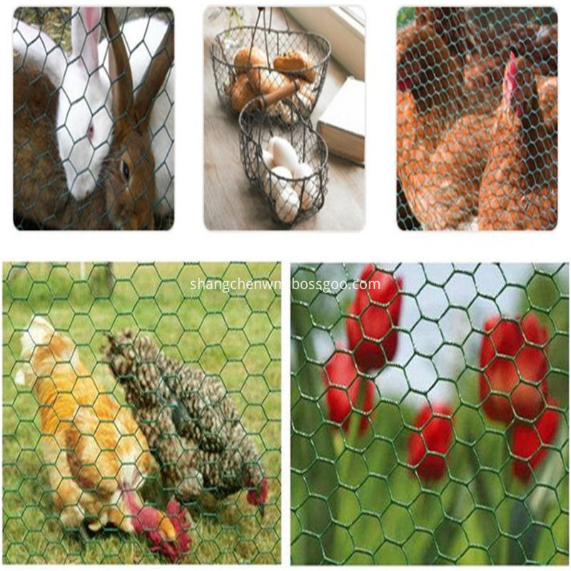 chicken gabion mesh