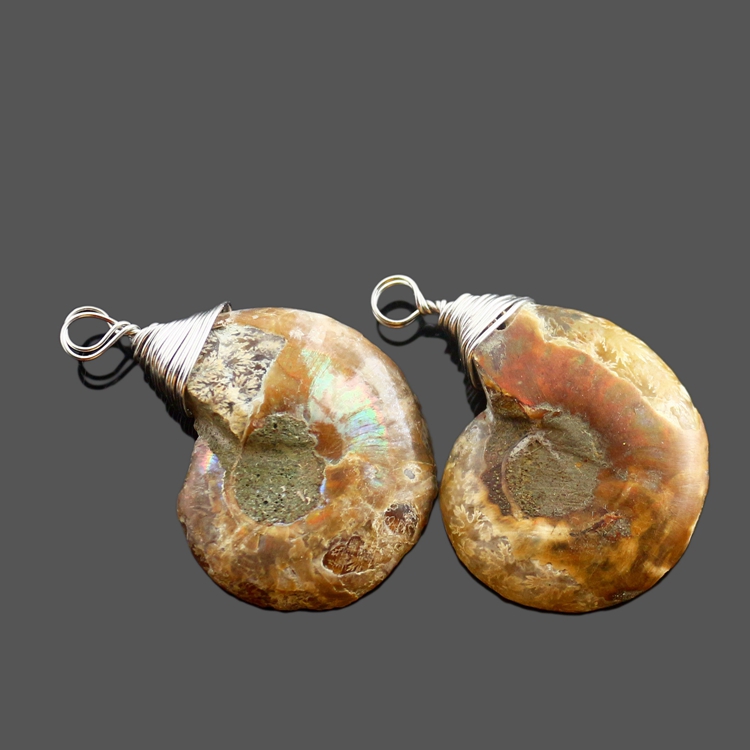 Natural Crystal Fossil Shell Snail Pendant Necklace Energy Stone Healing Divination Necklaces for Home Decoration Gift Collectio