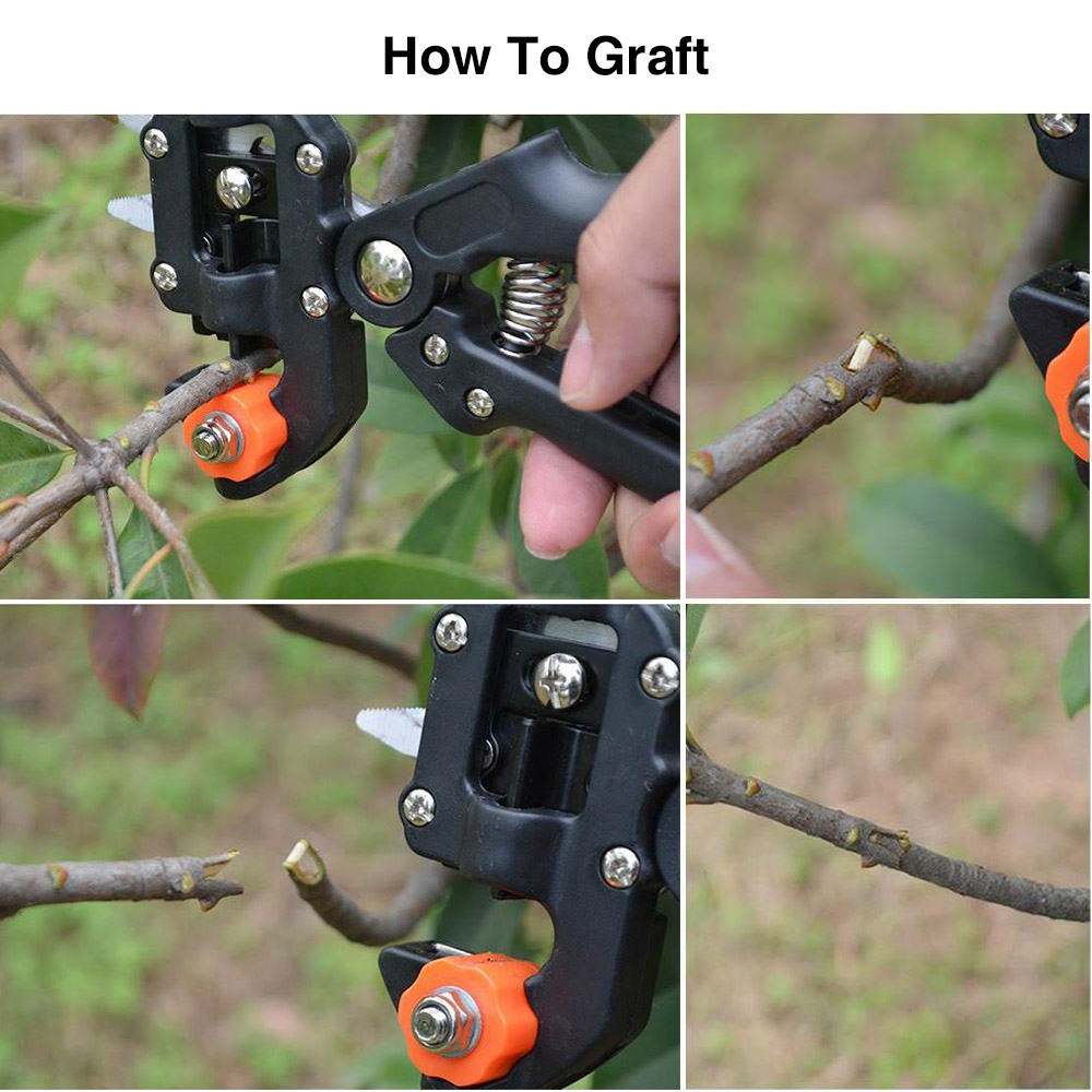 2 in 1 Professional Pruner Shear Cutting Tool multifunctional Grafting Tool Fruit Tree Nursery Grafting Pruner Scissor Cutting