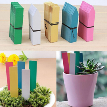 100Pcs Tree Fruits Seedling Garden Flower Pot Plastic Tags Sign Reusable PVC Plants Hang Tag Labels Classification Tools