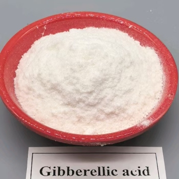 Plant Hormone Gibberellic Acid 90% TC seed germination