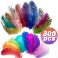 300Pcs/Lot Turkey Fluffy Marabou Feather 6-11CM DIY Feathers For Needlework Wedding Decoration Plumes Handicraft Accessories