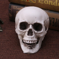 Plastic Human Mini Skull Decor Prop Skeleton Head Halloween Coffee Bars Ornament Dropshipping