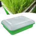 Plastic Nursery Pots Seed Sprouter Tray PP Soil-Free Big Capacity Wheatgrass Grower Seedling Tray Sprout Plate Hydroponic 35P
