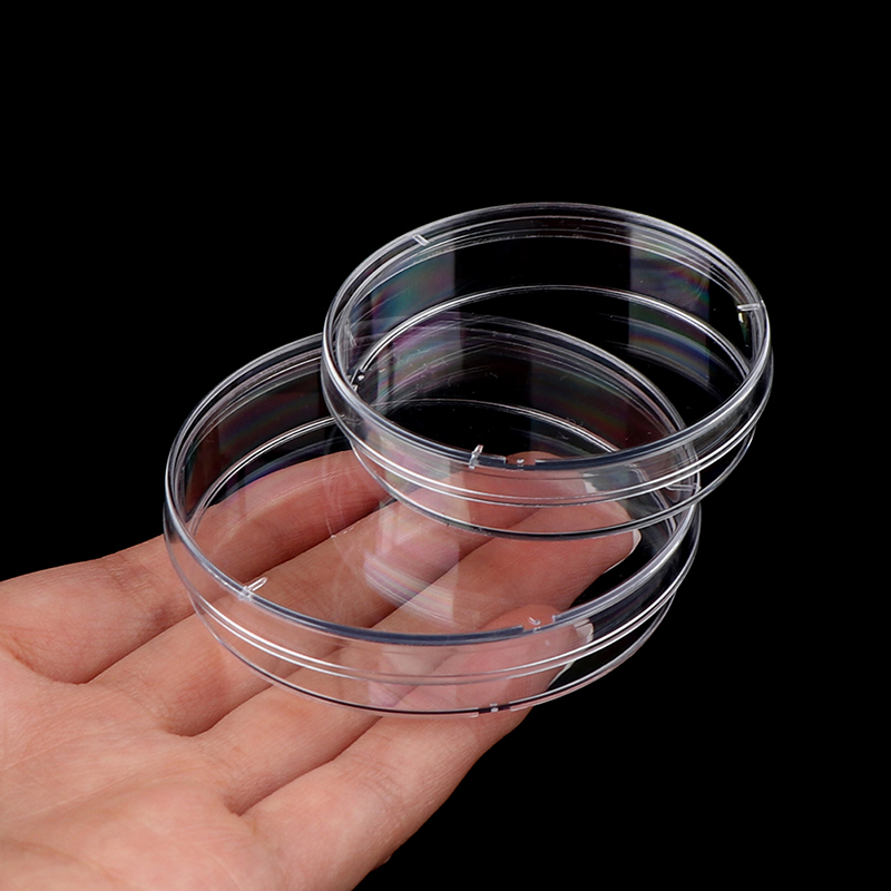 10Pcs 55mm Polystyrene Sterile Petri Dishes Bacteria Culture Dish for Laboratory Medical Biological Scientific Lab Supplies