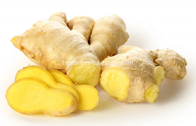 ginger 2