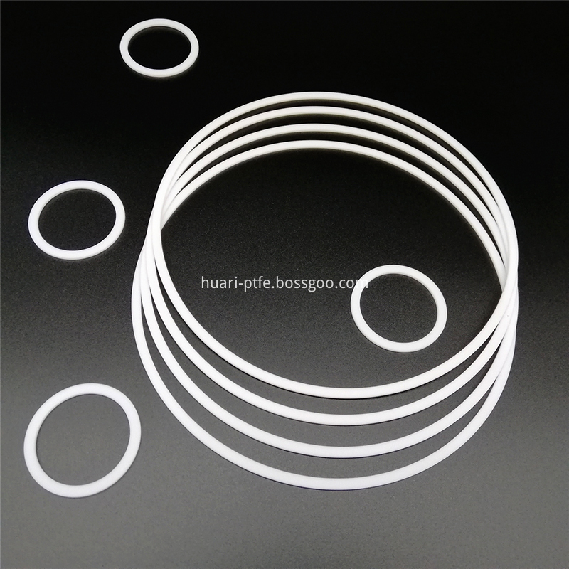 Backup Ring 6