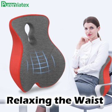 Purenlatex Memory Foam Lumbar Support Back Cushion for Lower Back Pain Relief Pillow for Computer Office Chair Car Seat Recliner