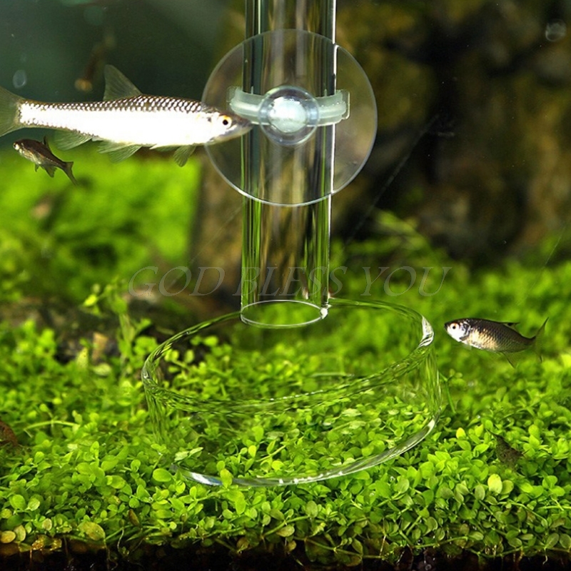 New Arrival Fish Tank Feeder Aquarium Shrimp Glass Feeding Bowl Dish Tray 6 Size Drop Shipping