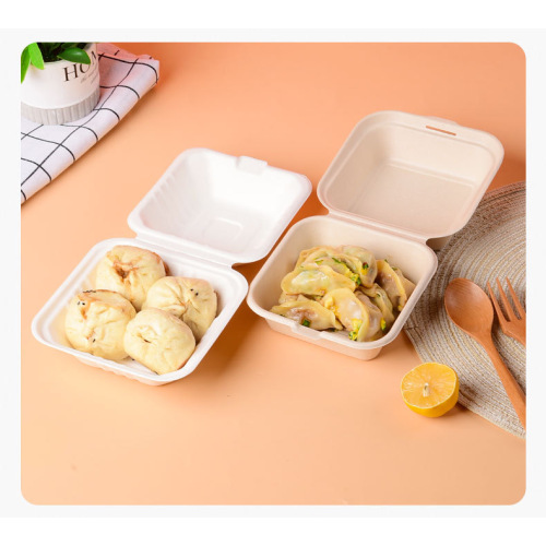 Suppliers for Sugarcane Biodegradable Bagasse Hamburger Takeaway Box