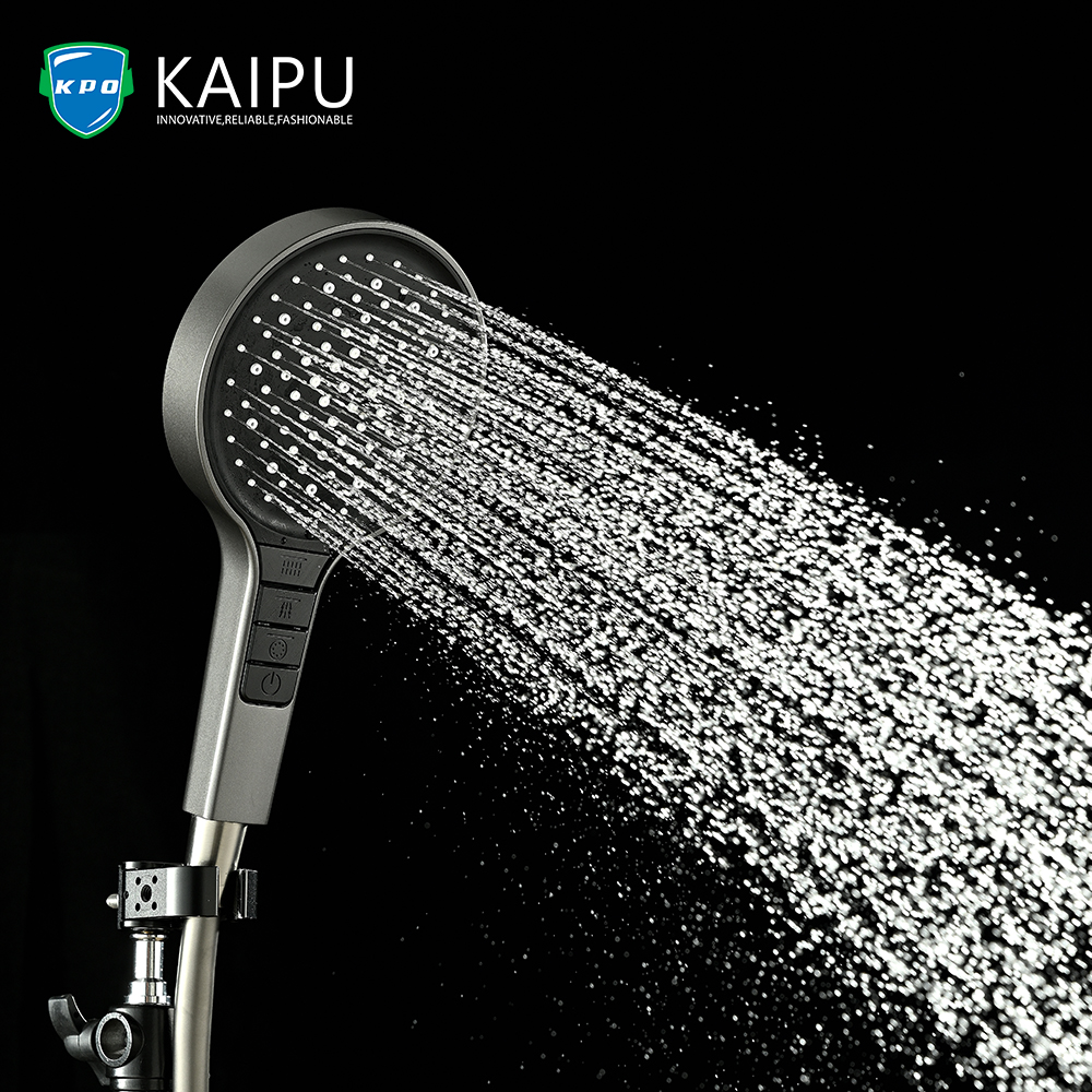 HANDHELD SHOWER (9)