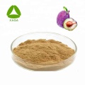 Plum Extract Powder Fruit Vegetable Powder