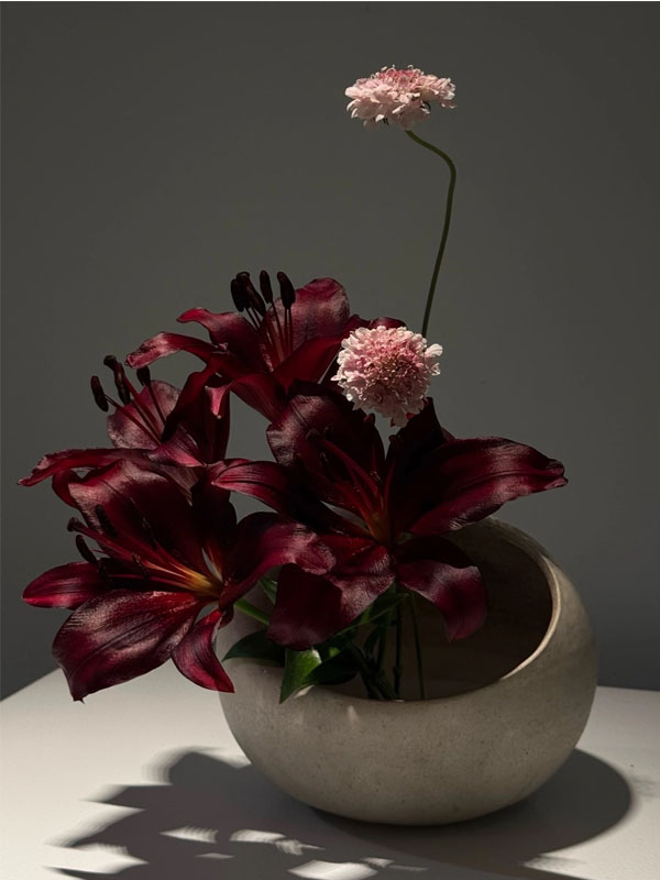 Black Knight Lily4