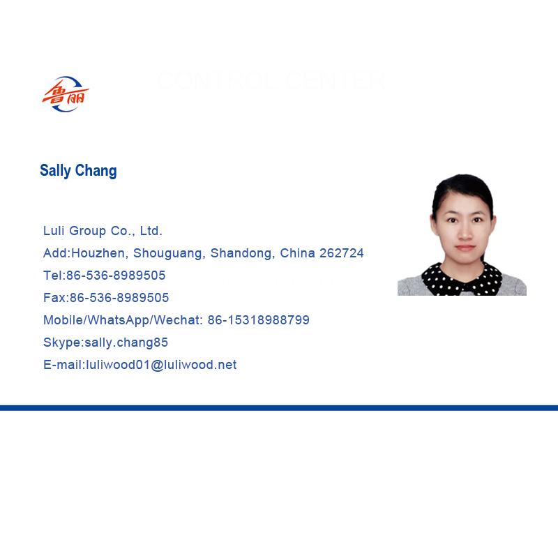 Sally name card Sally name card