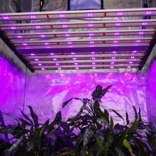 UV IR 640W Indoor Grow Tent Light